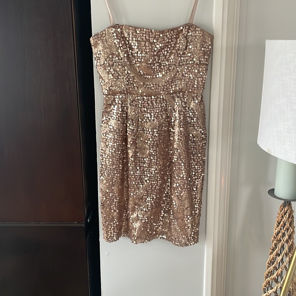BCBG Strapless Sequin Dress